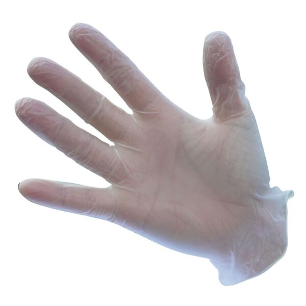 A900 Portwest vinyl disposable gloves image